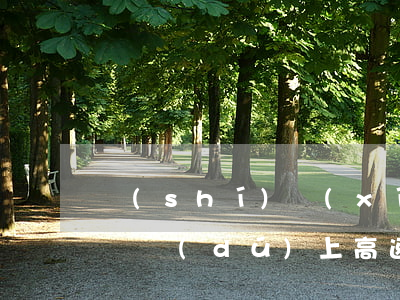 實(shí)習(xí)期違規(guī)單獨(dú)上高速出事故，保險(xiǎn)公司能免賠么？